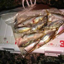 アタリが少なかった