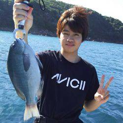 サカムラいかだ