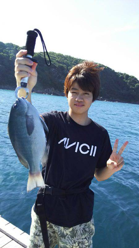 サカムラいかだ