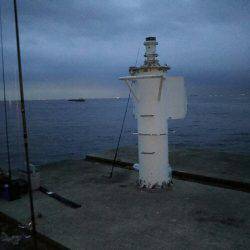 サゴシカッター！！