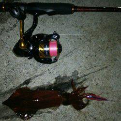 時合いを外すとこんなもんです(笑)