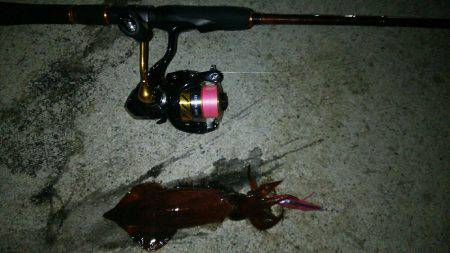 時合いを外すとこんなもんです(笑)