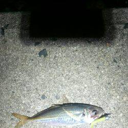 確実に成長している