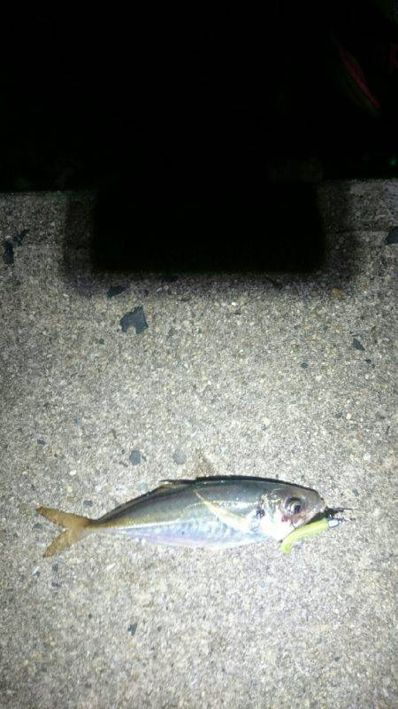 確実に成長している