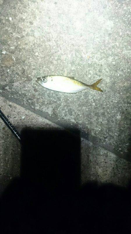 やっぱり遅い。