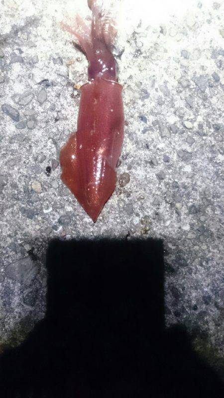 このままでは…