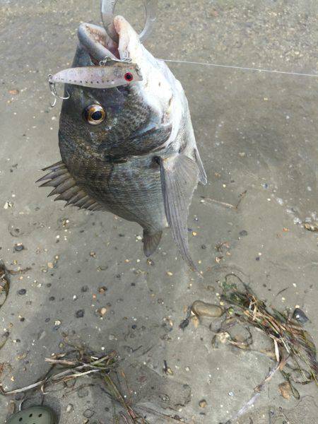 ゲキ渋宮川チニング