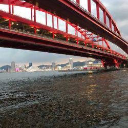 シーバスの予定が…