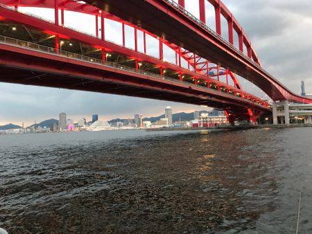 シーバスの予定が…