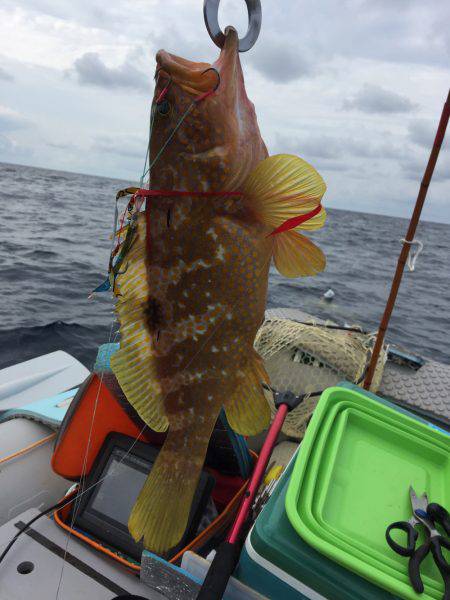 マイボートでタイラバ、ジギング