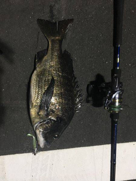 あと、3センチ…