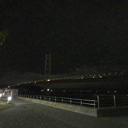 ケンサキイカが釣れると聞いて〜