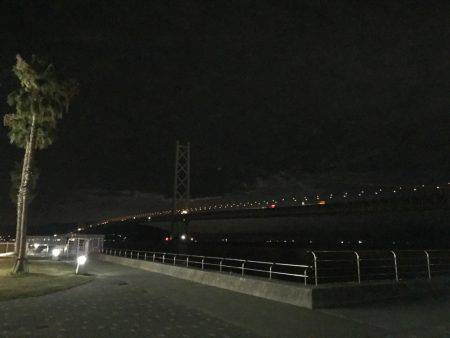 ケンサキイカが釣れると聞いて〜