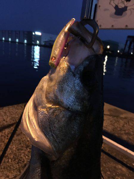 ナイスファイト❗️