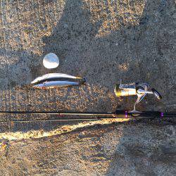 朝マズメ マーブルビーチにて