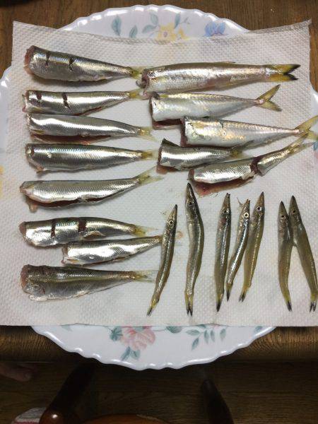 ジグサビキ スーパーライトショアジギング …