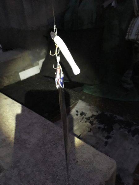 神戸港でタチウオワインド