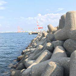 (ヽ´ω`)ﾄﾎﾎ･･