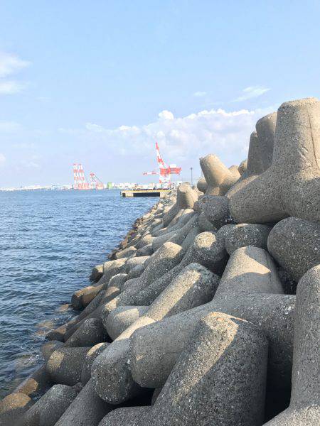 (ヽ´ω`)ﾄﾎﾎ･･