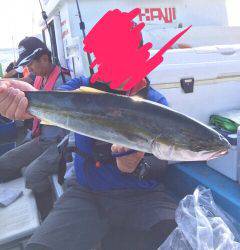 落とし込み釣り