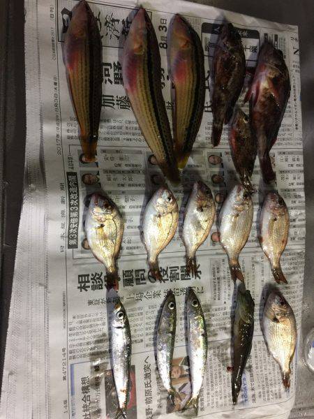 昼過ぎから日没まで