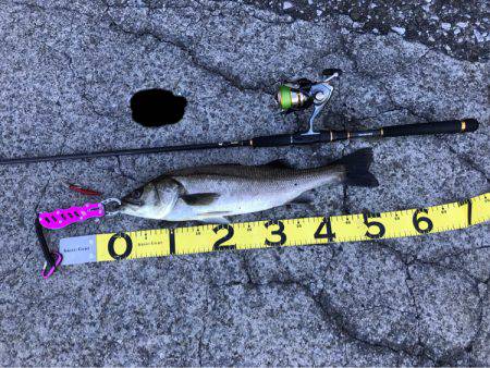 四日市港手前運河にて