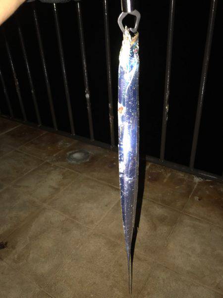 ランガン夏タチショアジギング