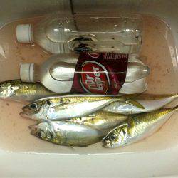 雨ニモマケズ風ニモマケズ