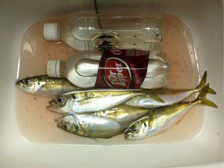 雨ニモマケズ風ニモマケズ