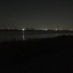 淀川ボラゲー？