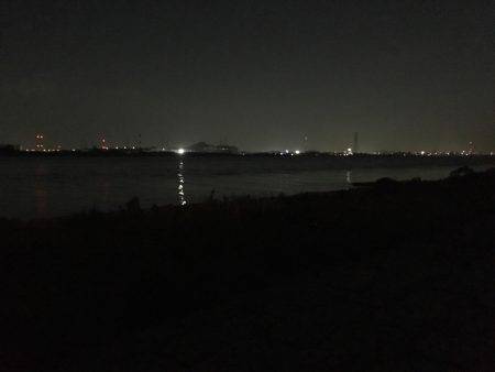 淀川ボラゲー？