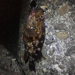 なんくるないさ