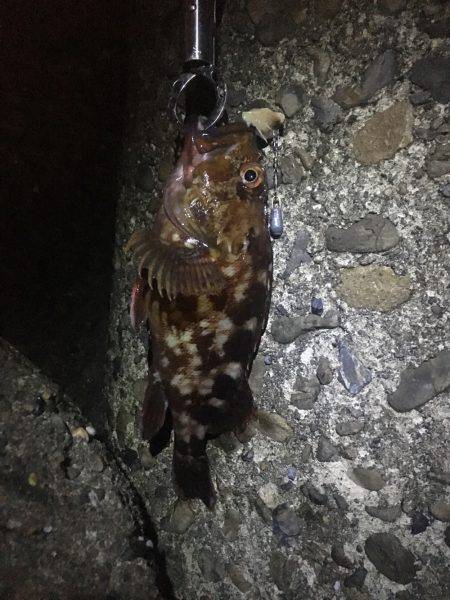 なんくるないさ