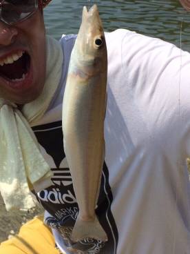 デートフィッシング