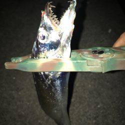 ワインドジャンキー