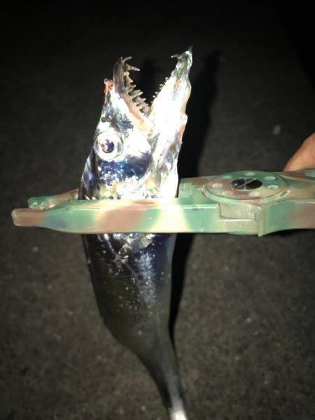 ワインドジャンキー