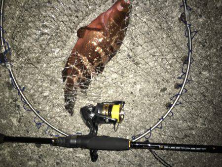 ライトワインド