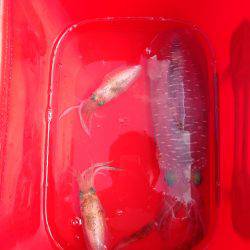 予想外‼︎ビックリな結末