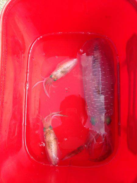 予想外‼︎ビックリな結末