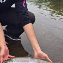 雨の中のトラウトフィッシング