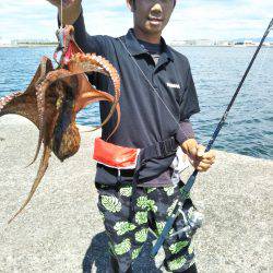 オクトパッシング