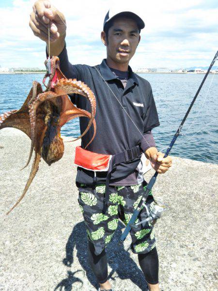 オクトパッシング