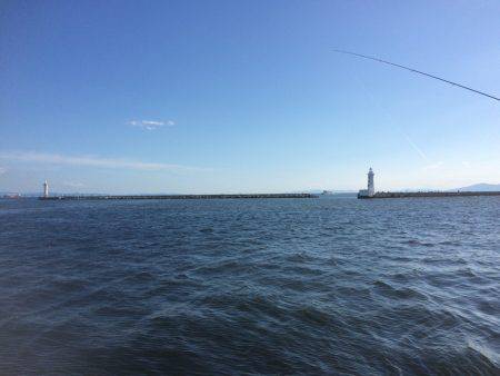 今日は手堅くアジ狙い