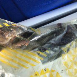 カサゴ2匹を唐揚げ