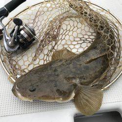 ボートマゴッチング！