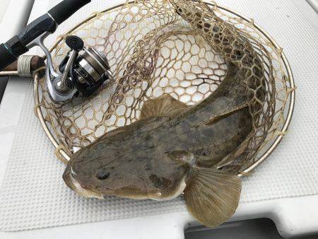 ボートマゴッチング！