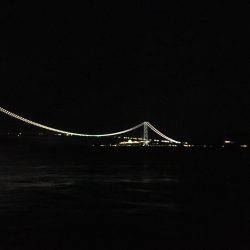 またまた、1匹のみ