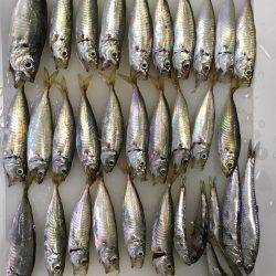 子どもとのんびり