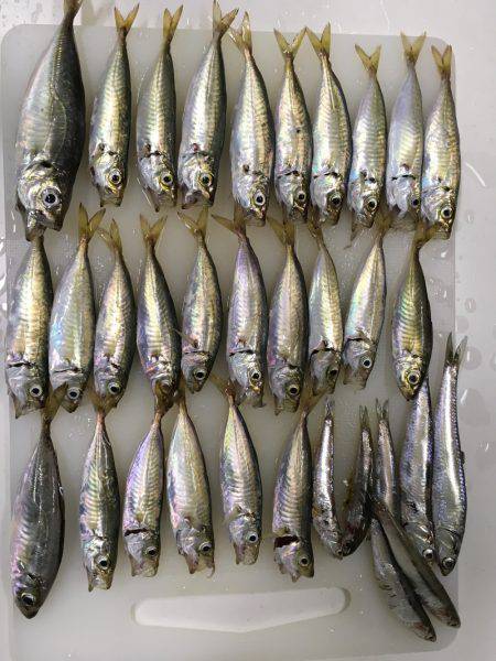 子どもとのんびり