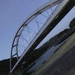 朝マズメ ジギング